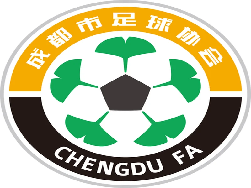 成都市足协祝贺铜梁龙:这是成渝两地足球水平共同进步的见证